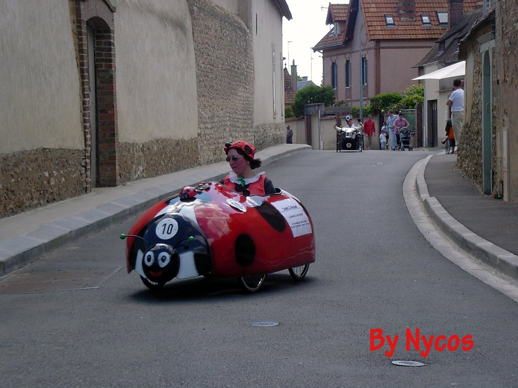 Coccinella 028.jpg